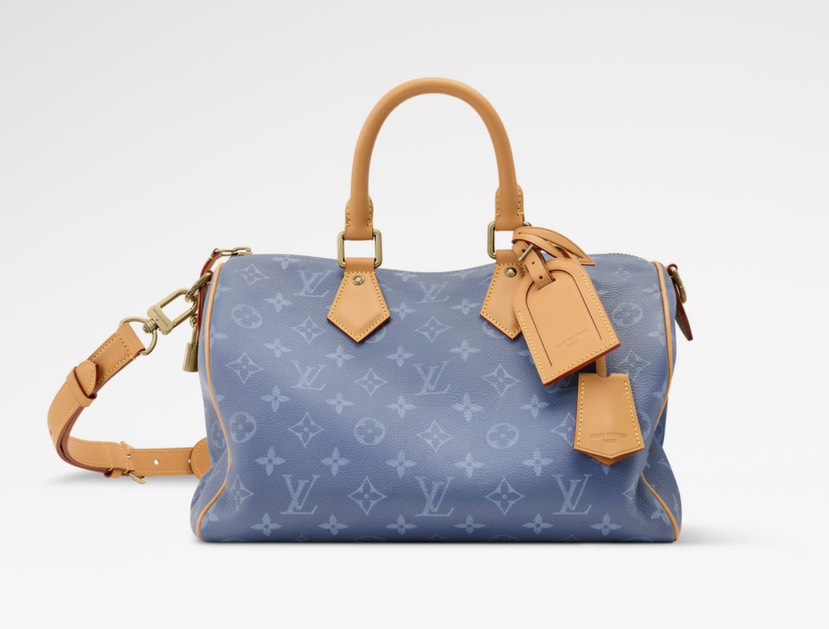 LV Speedy P9 Bandoulière 30 Bag