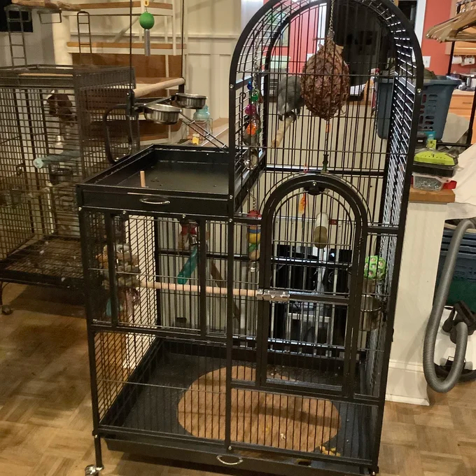 Nickelson 66'' Steel Play Top Floor Bird Cage with Wheels