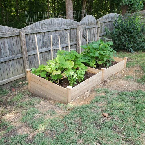 12x4 ft Cedar Raised Garden