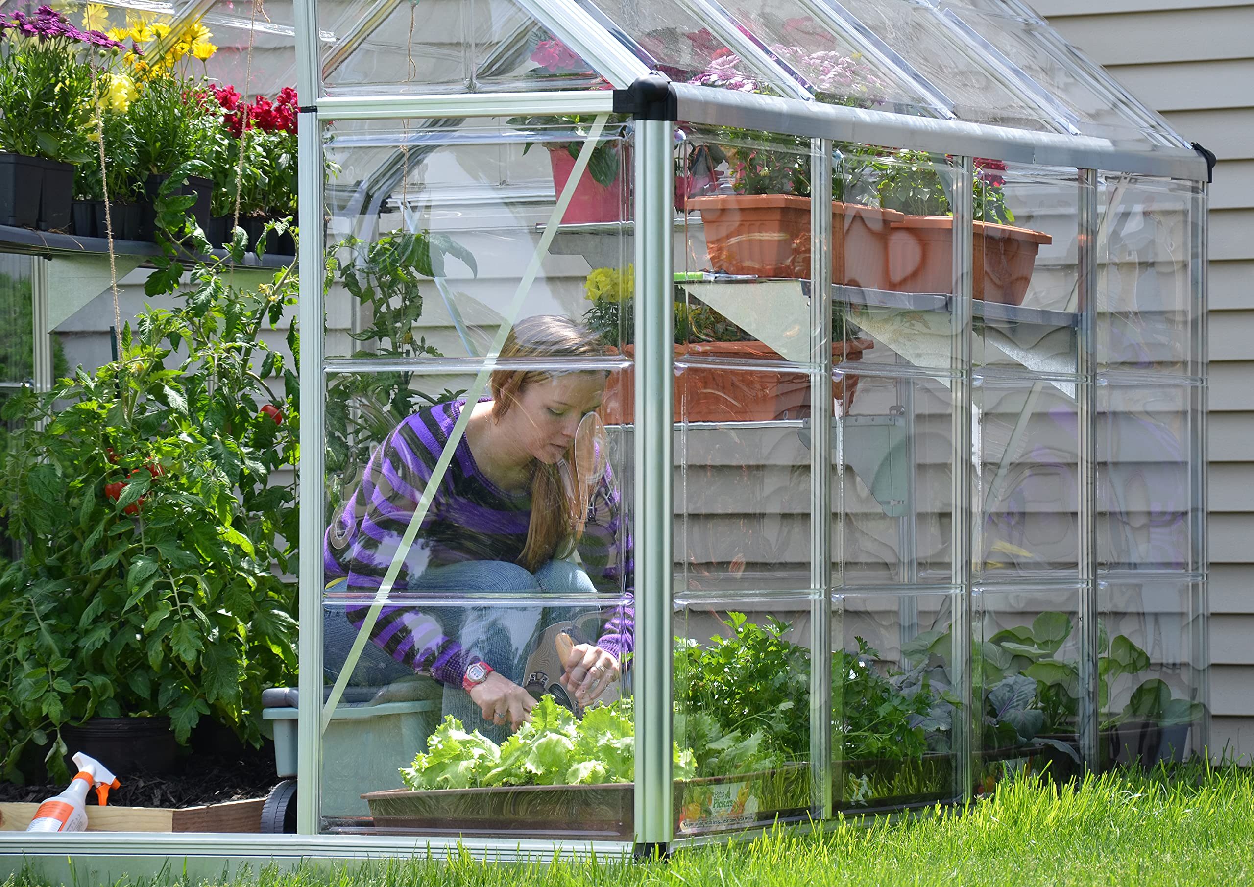 Vitavia 8x6 Venus 5000 Greenhouse - Horticultural Glass