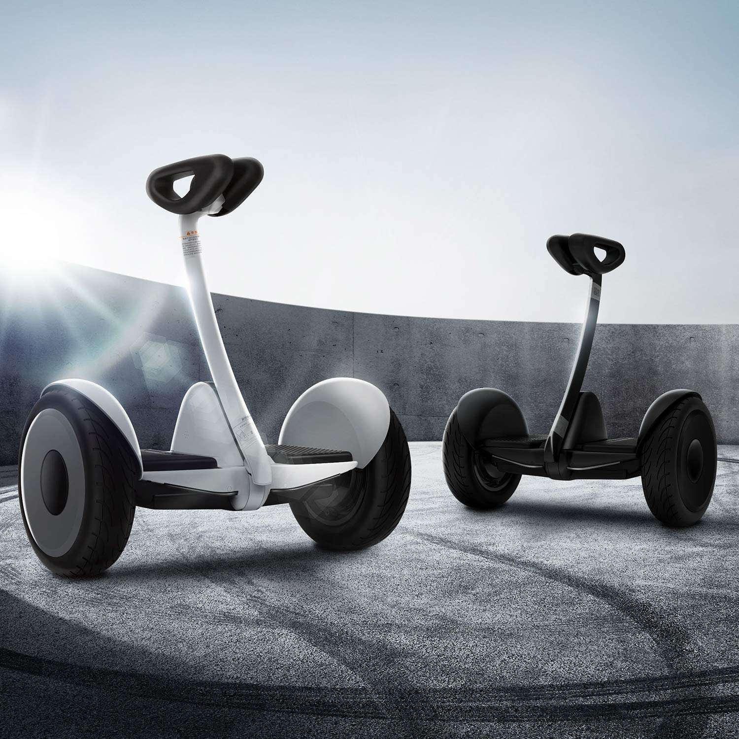Segway Ninebot S Smart Self-Balancing Electric Scooter