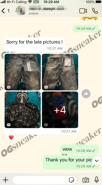 Pasted Image
