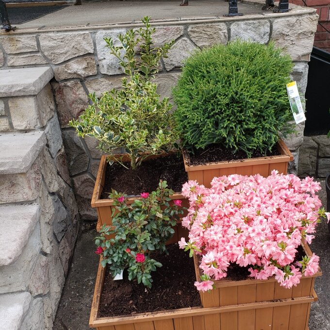 Gordonsville 2.5x2.5 ft Wood Raised Garden Bed