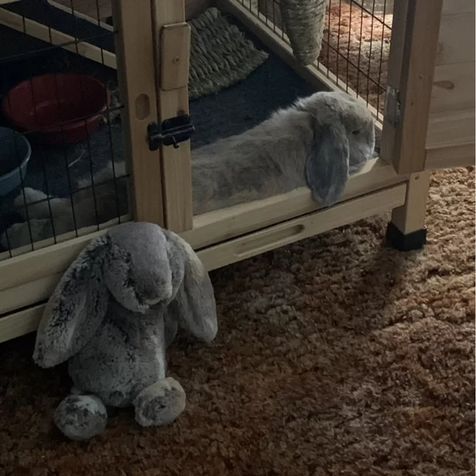 Gatsby Weather Resistant Hutch with Ramp