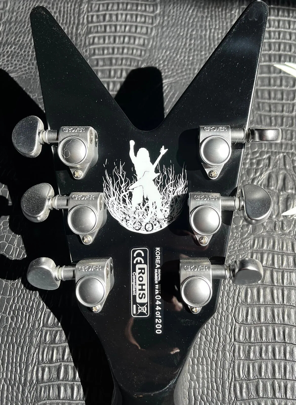 Limited Edition Translucent Black Flame Dimebag Darrell Roots Electric Guitar