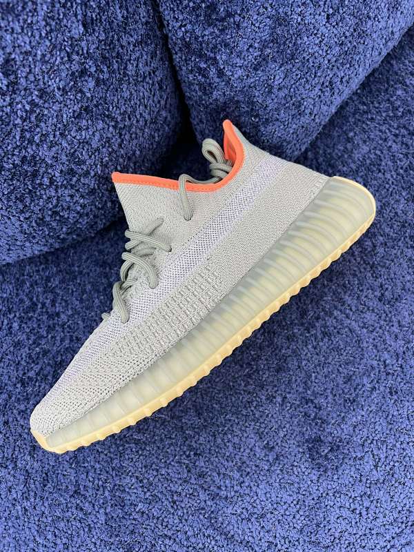 Adidas Yeezy Boost 350