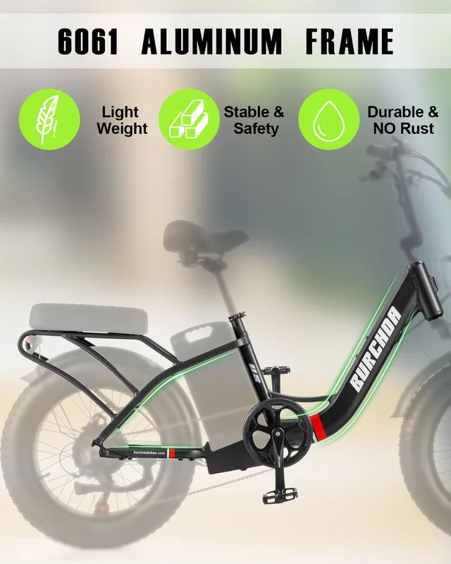 20in Fat Tire Electric Bike, 800W, 48V 32Ah, Two Seats