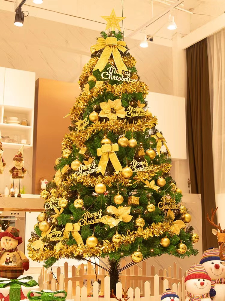 Christmas Tree package large household luminous decorations