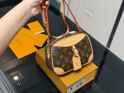 Louis Vuitton Tiny Camera Bag Monogram Coated Canvas