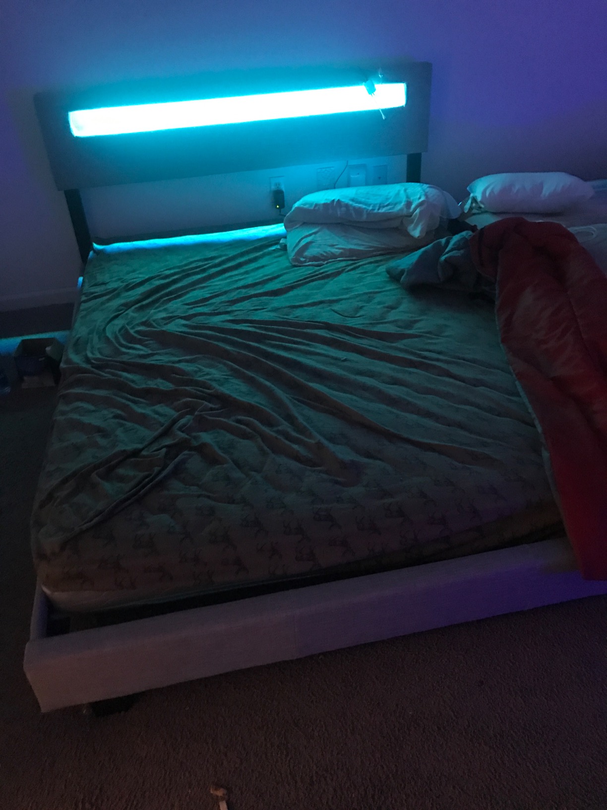 Pezzolla LED Bed - Contemporary Modern Low Profile Platform Bed