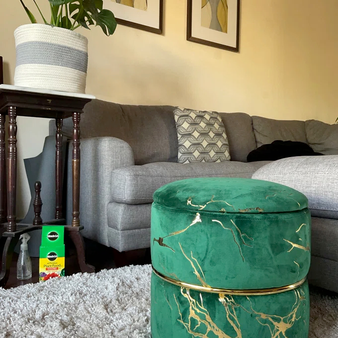 Lilly-Eve Upholstered Storage Ottoman