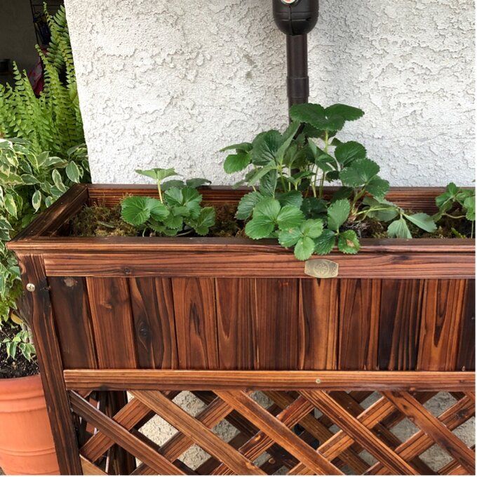 Peyton Wood Elevated Planter