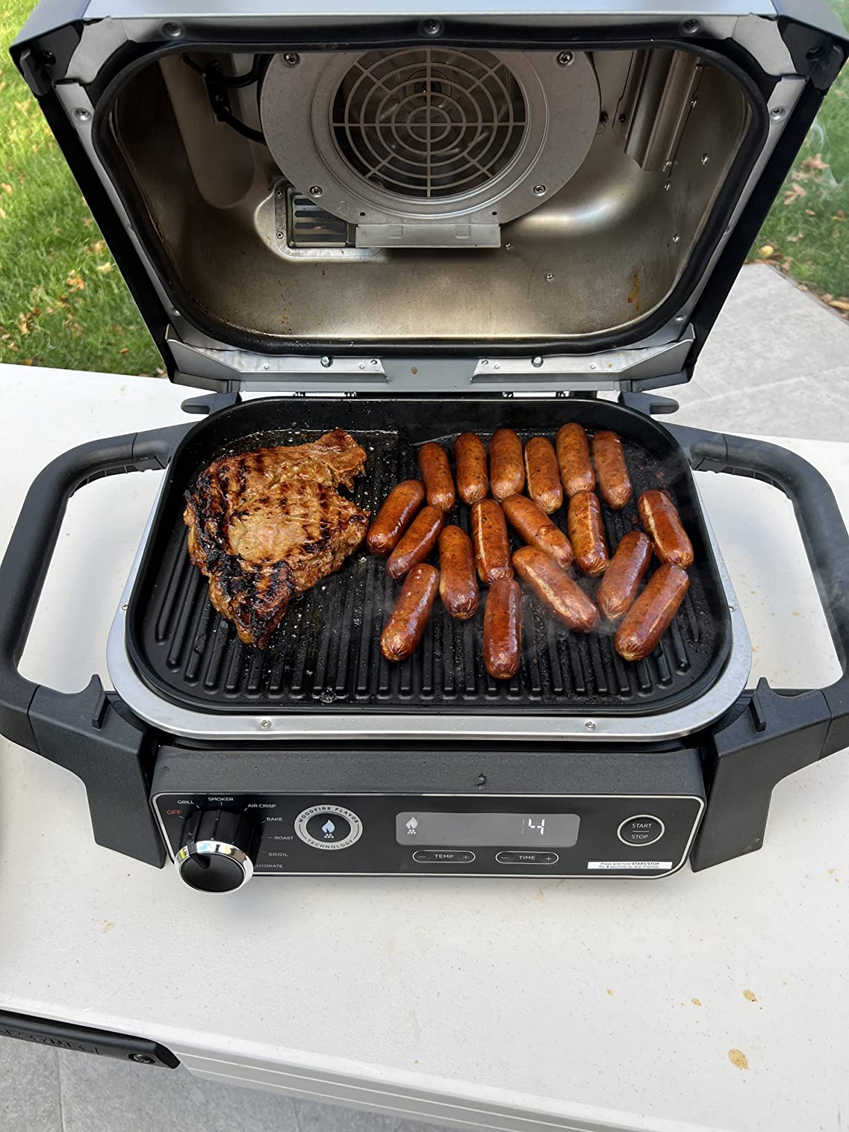 Ninja OG701 Woodfire Grill