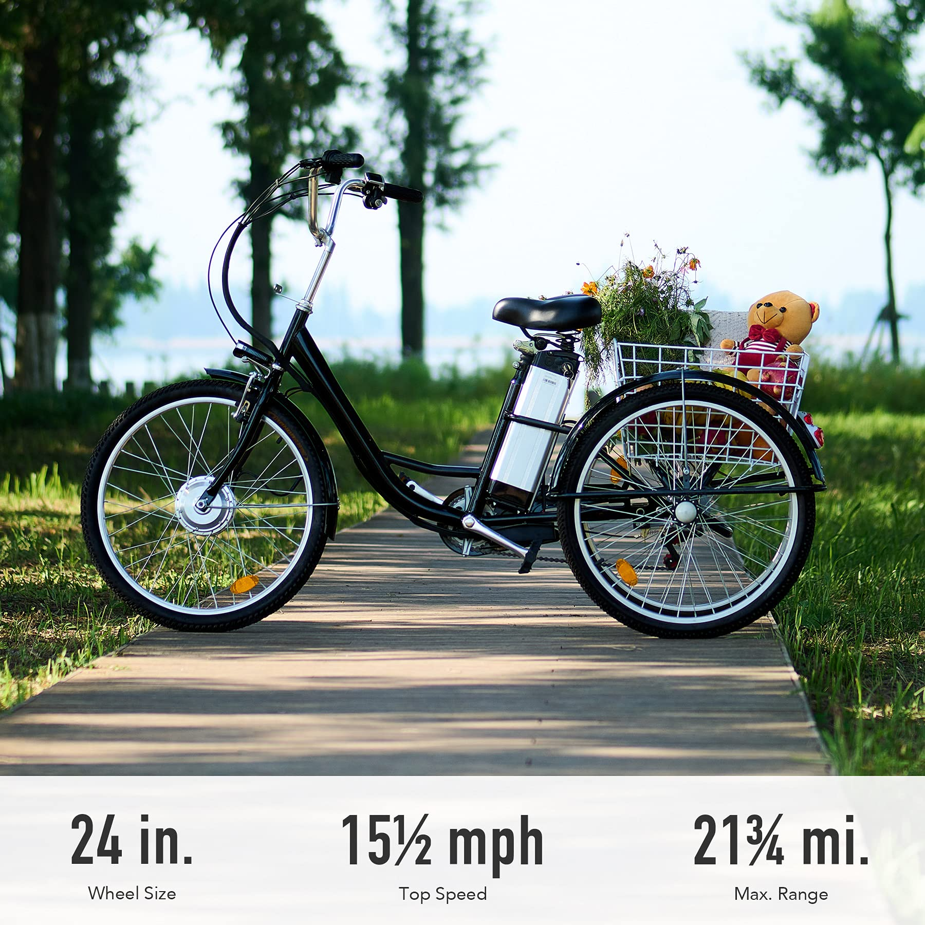 3 Wheel Electric Bike for Adults with 250w Motor