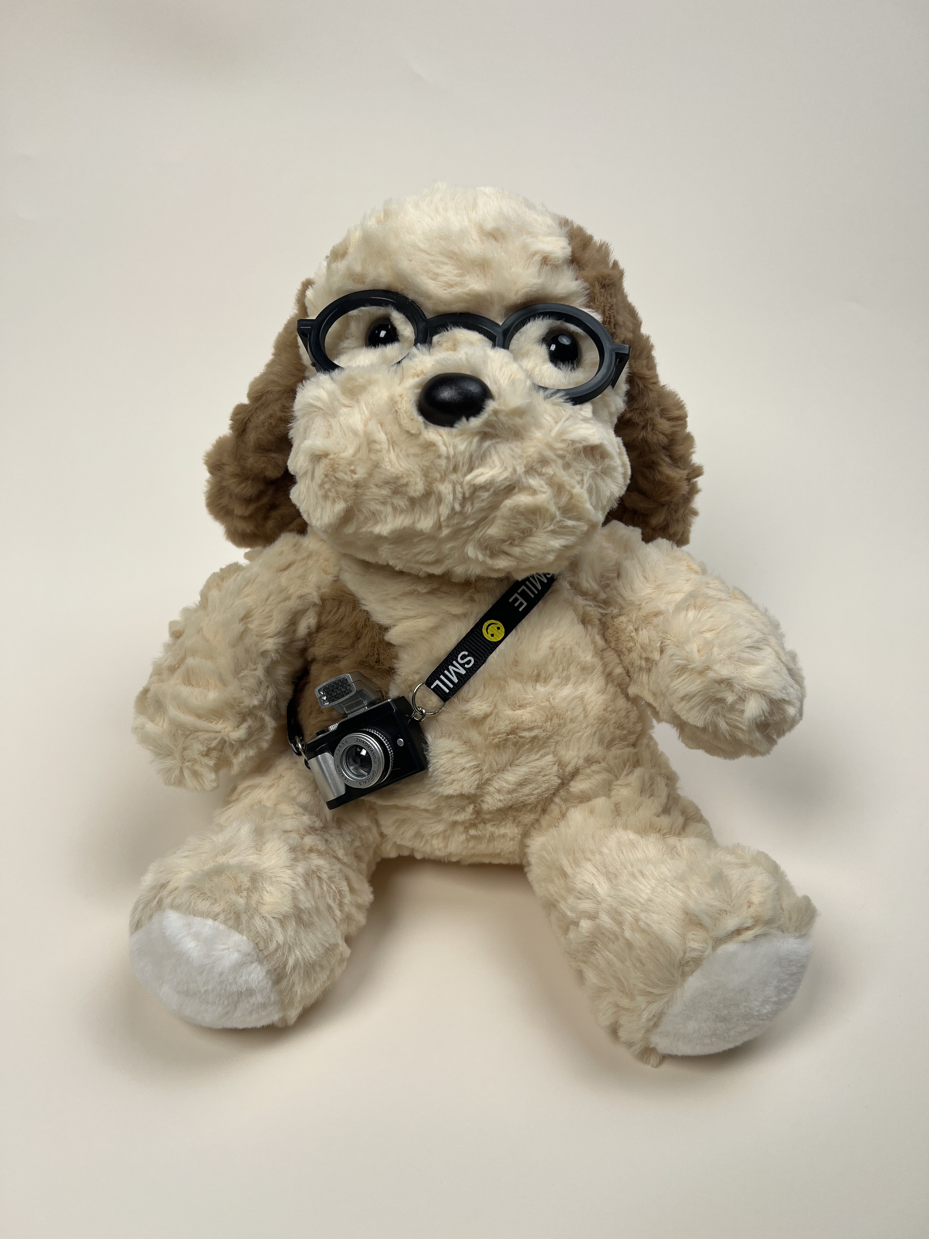 Artistic Photographer's Plush Dog Toy