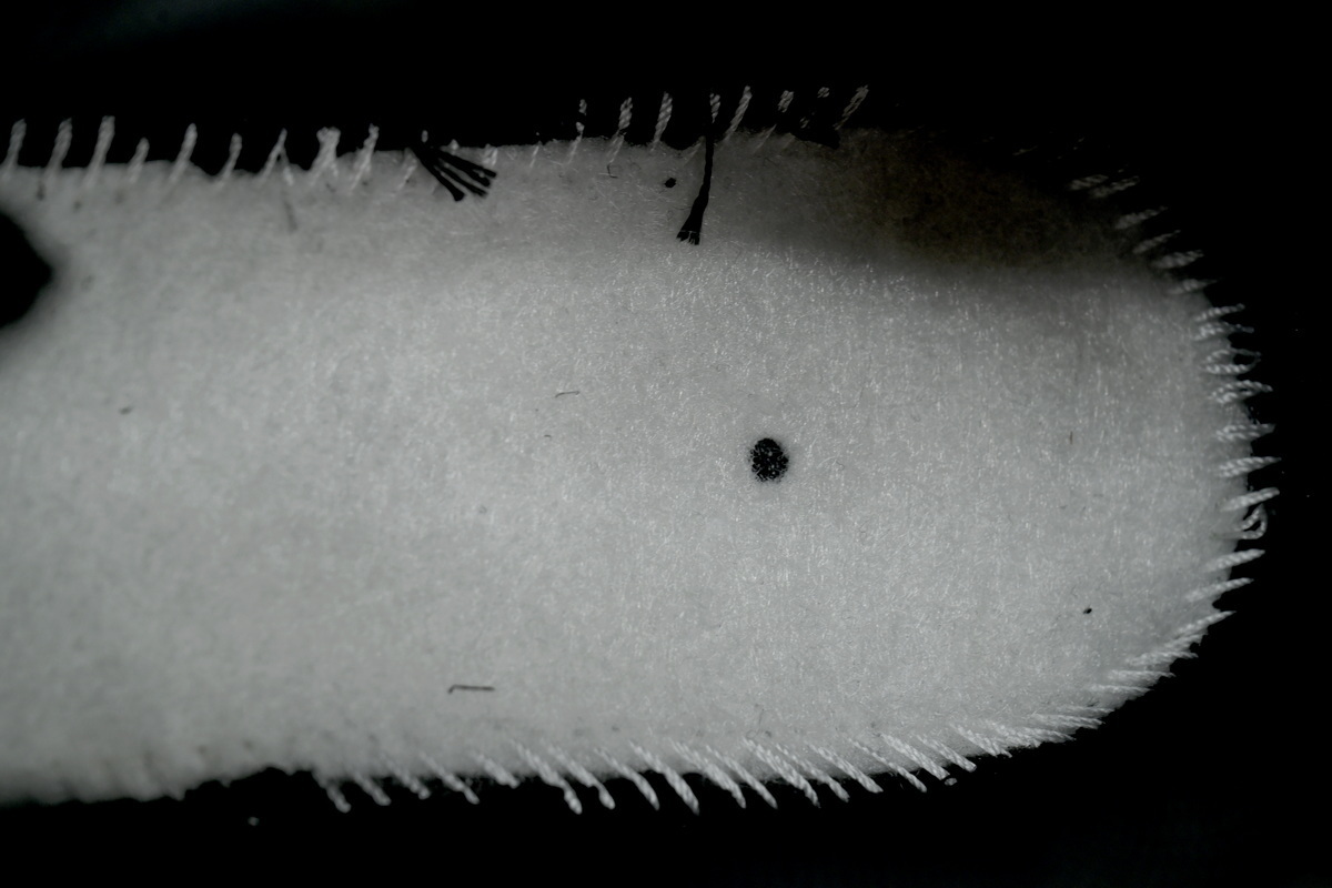 Levi's x Nike Air Max 95 OG Black Anthracite HM4743-001