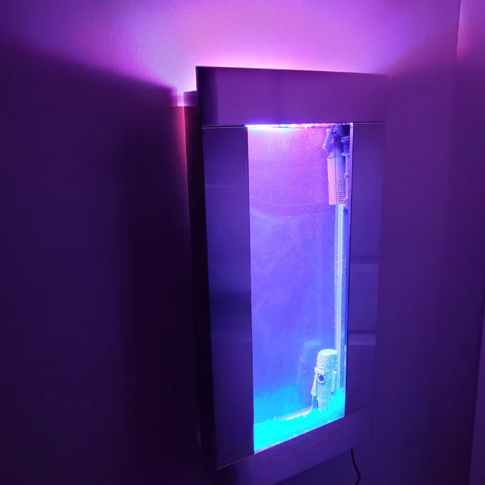 Angelica 4 Gallon Rectangle Aquarium Tank
