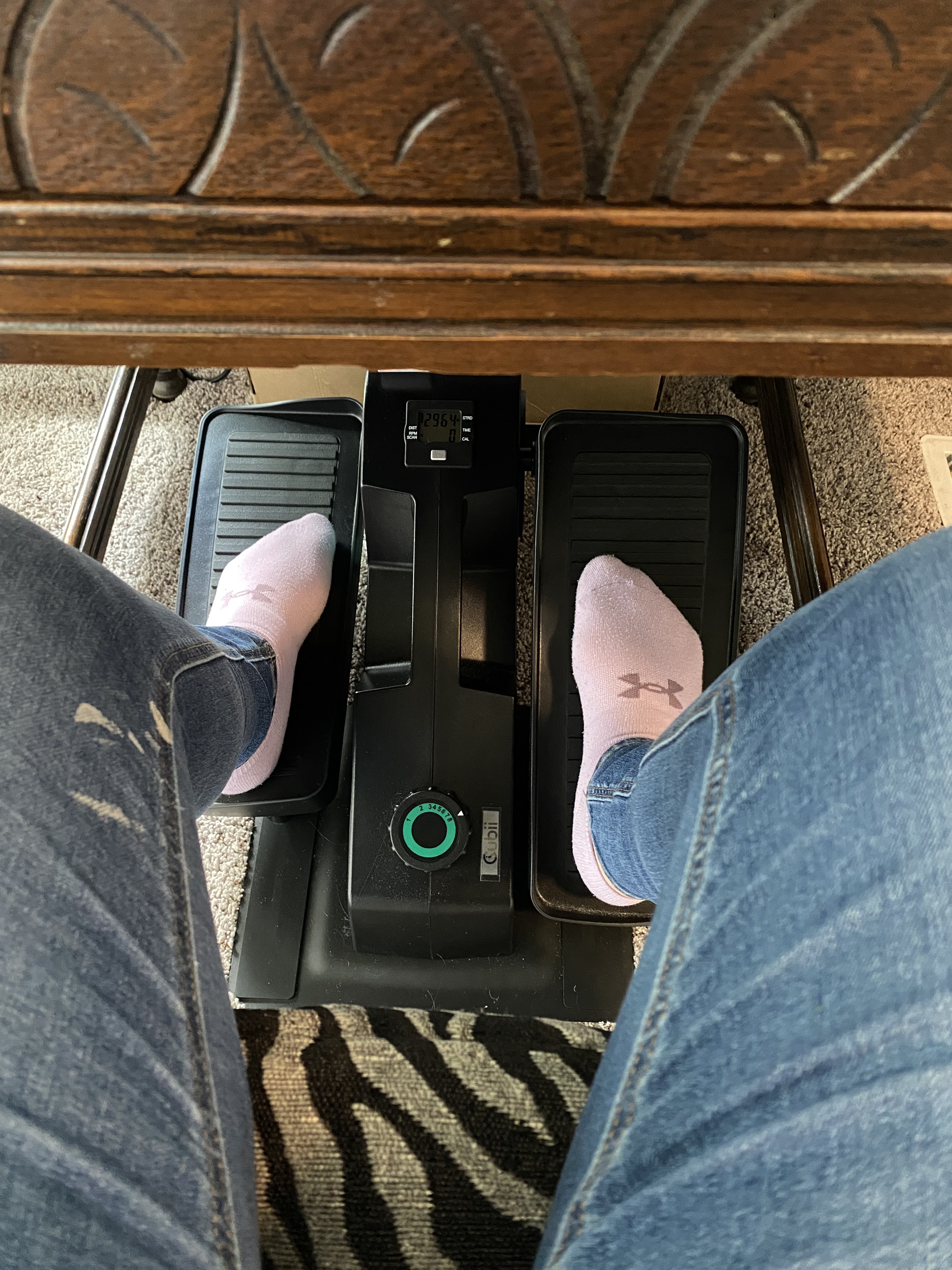Cubii JR1