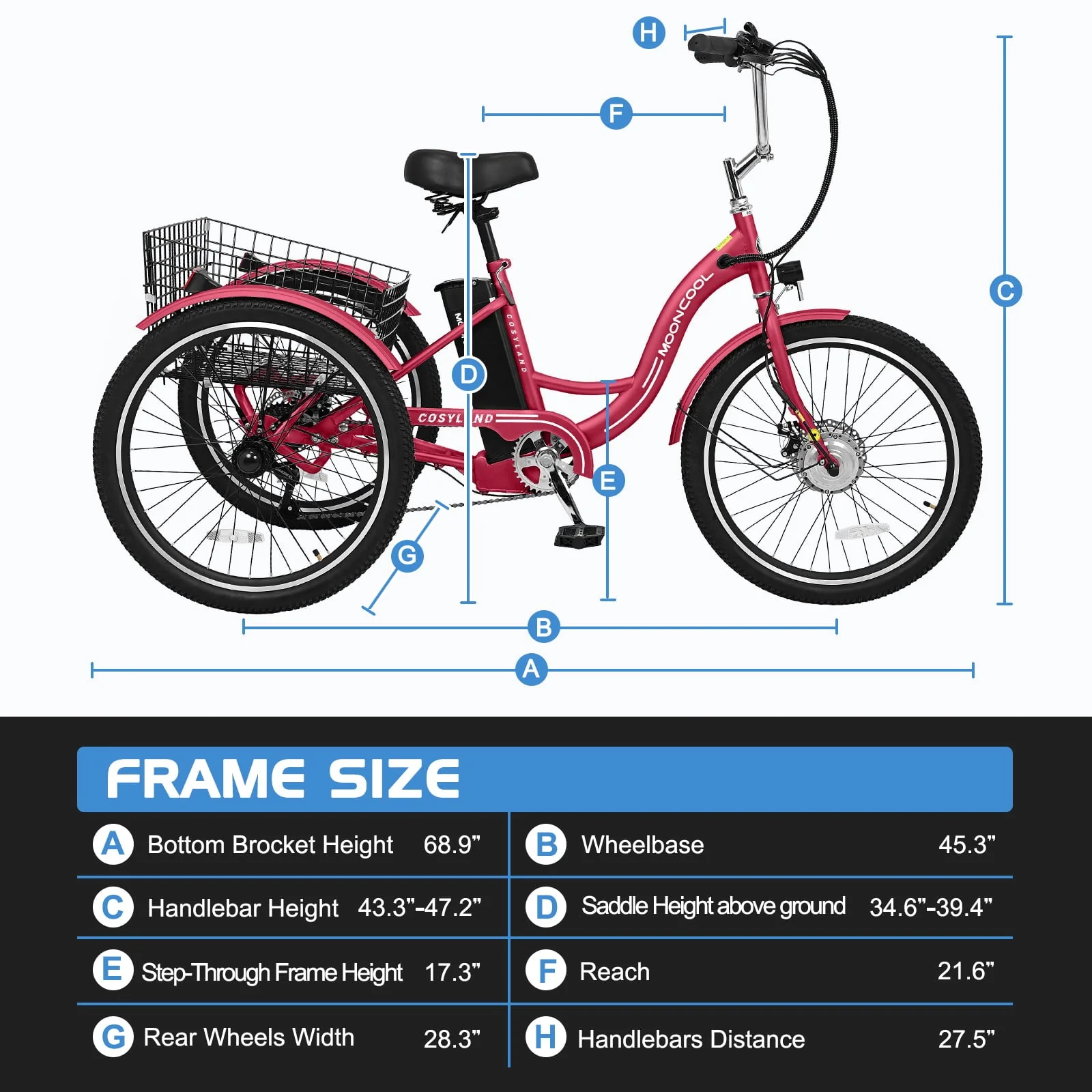 Lilypelle 24in Electric Tricycle with Basket, 350W, 36V 10.4Ah
