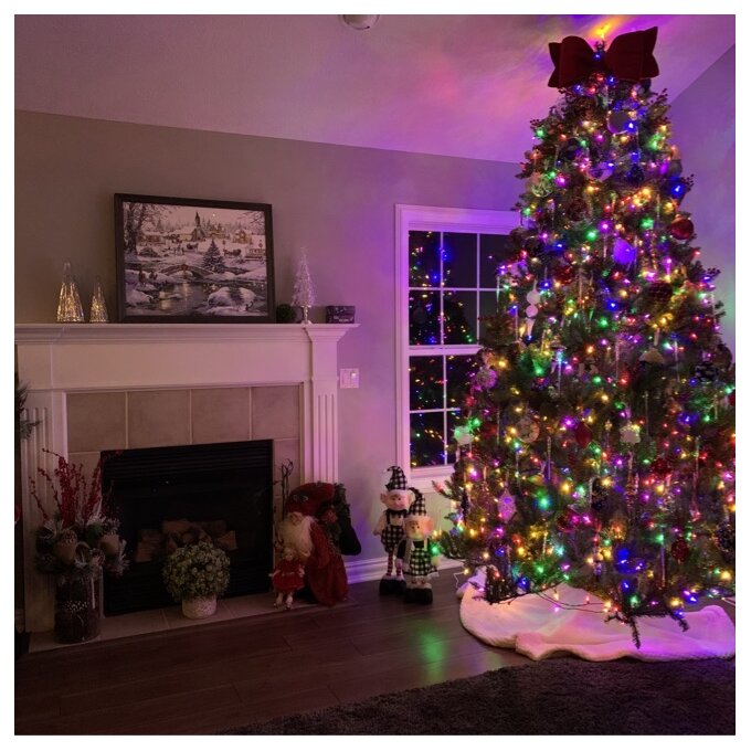 Dunhill Fir 120'' Lighted Artificial Fir Christmas Tree