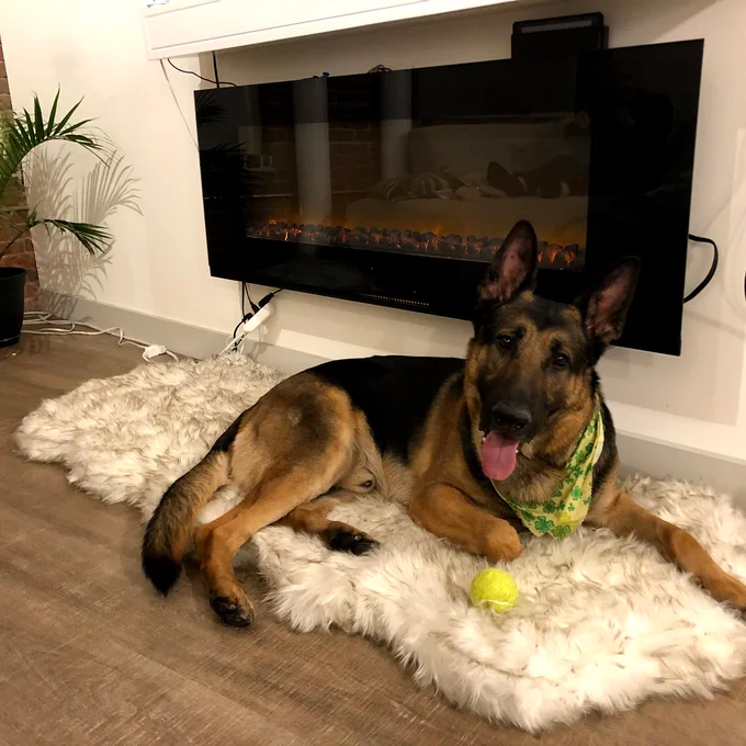 Pretor Puprug Runner Faux Fur Memory Foam Dog Curve Mat