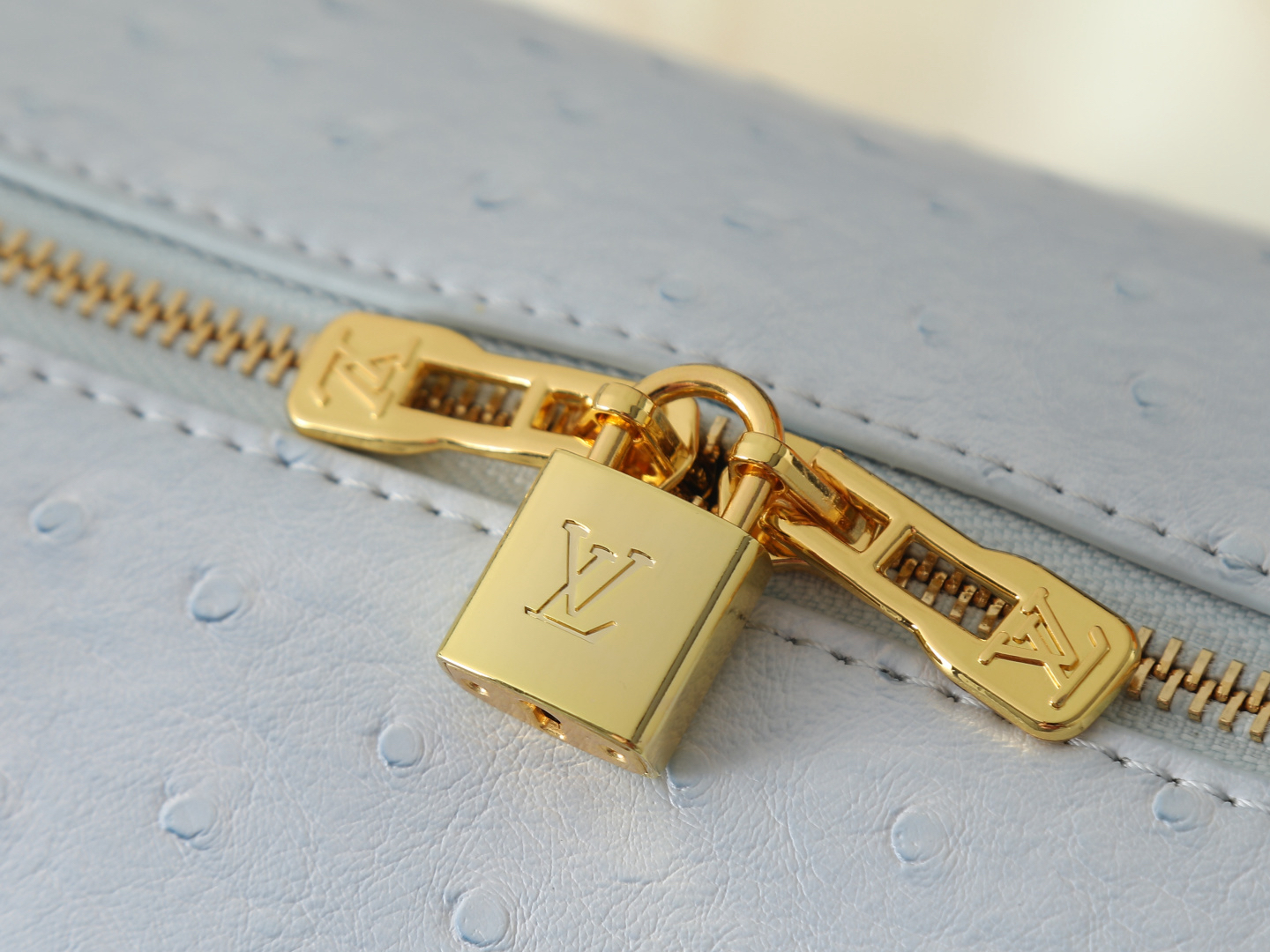 LV Speedy Soft 30（Ostrich Embossed）