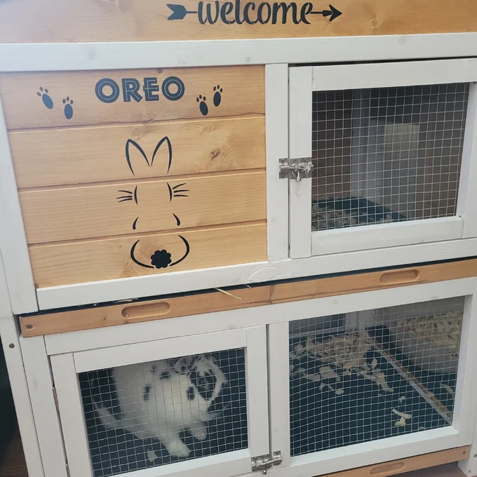 Violetta Weather Resistant Rabbit Hutch with Ramp