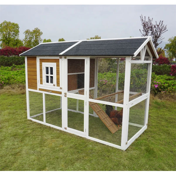 Shanae Walk In Chicken Coop with Chicken Run For Up To 8 Chickens