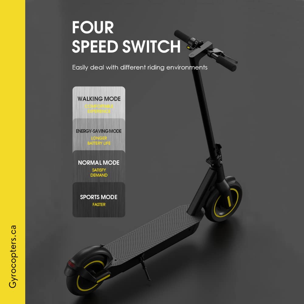 Portable Electric Scooter Pneumatic 10” tires, 500W Motor
