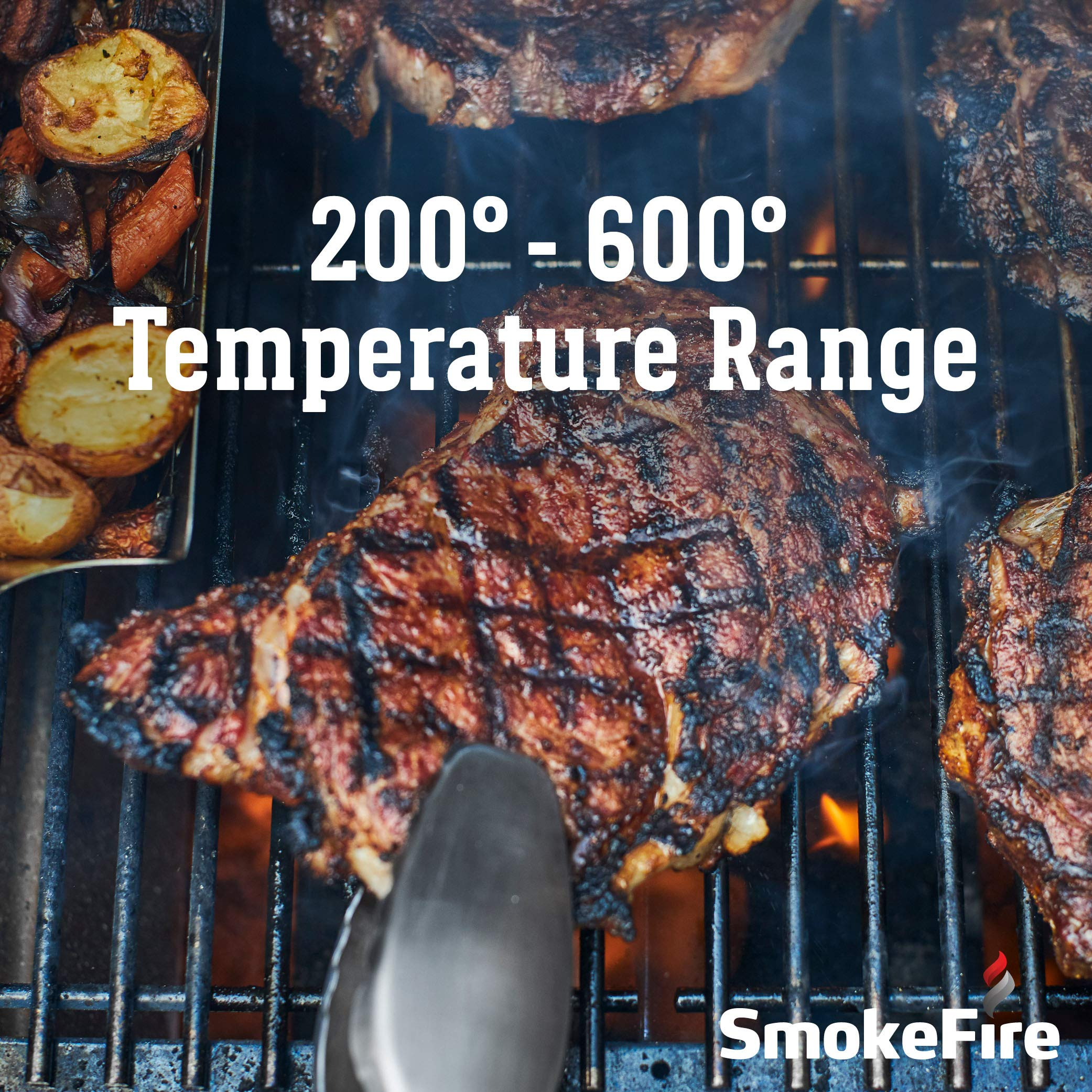 Weber SmokeFire EX6 (2nd Generator) Wood Fired Pellet Grill