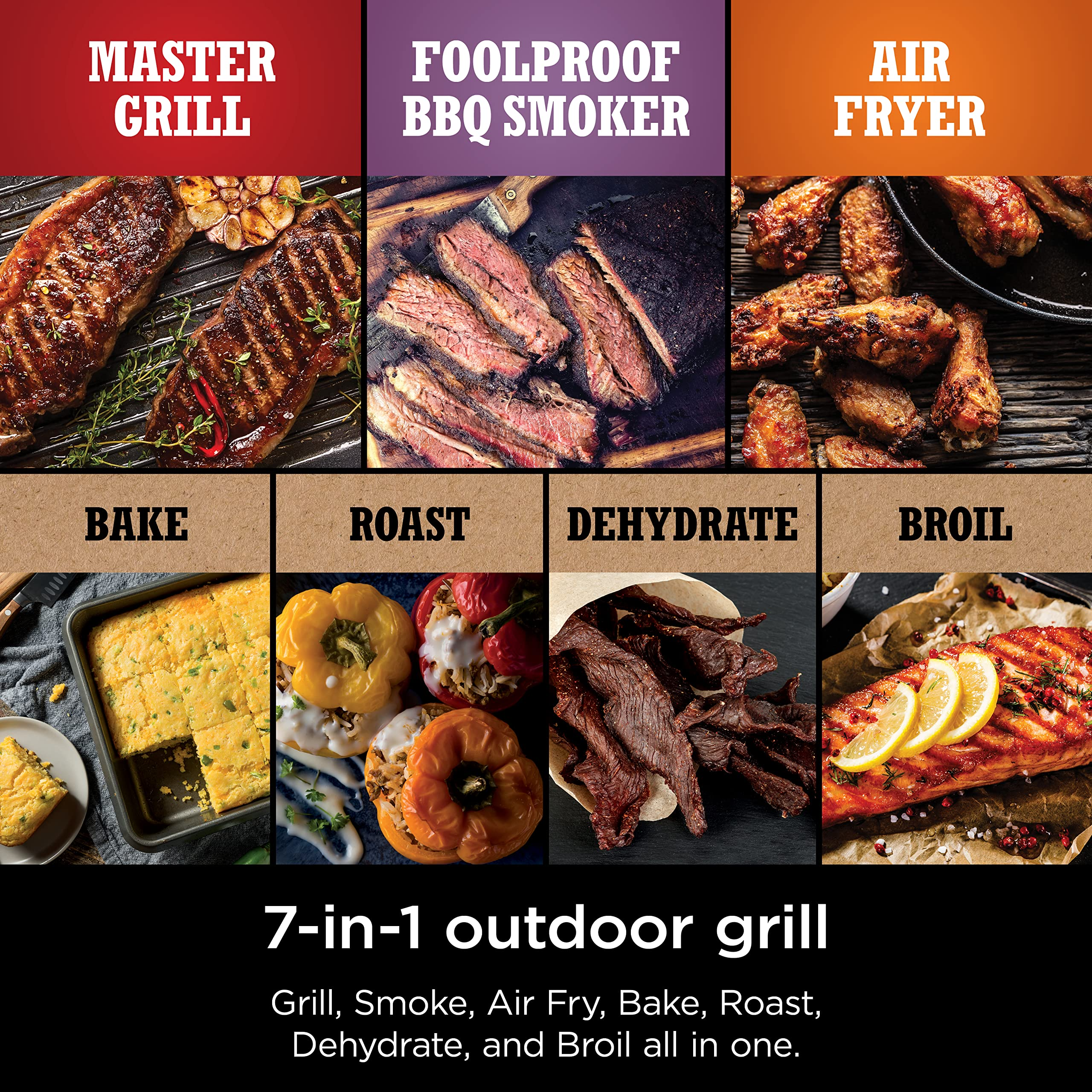 Ninja OG701 Woodfire Grill