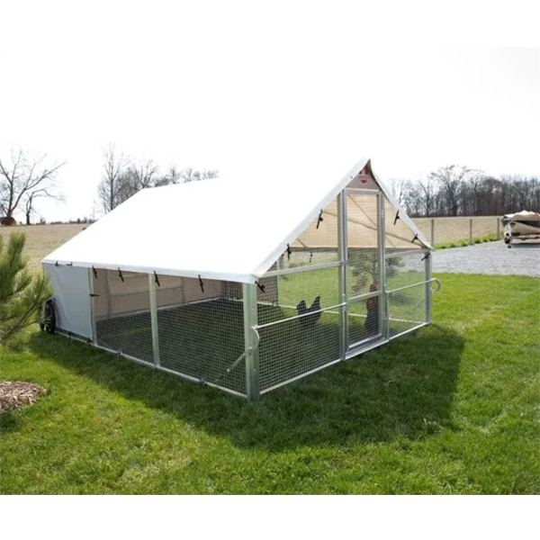 Chicken Coop