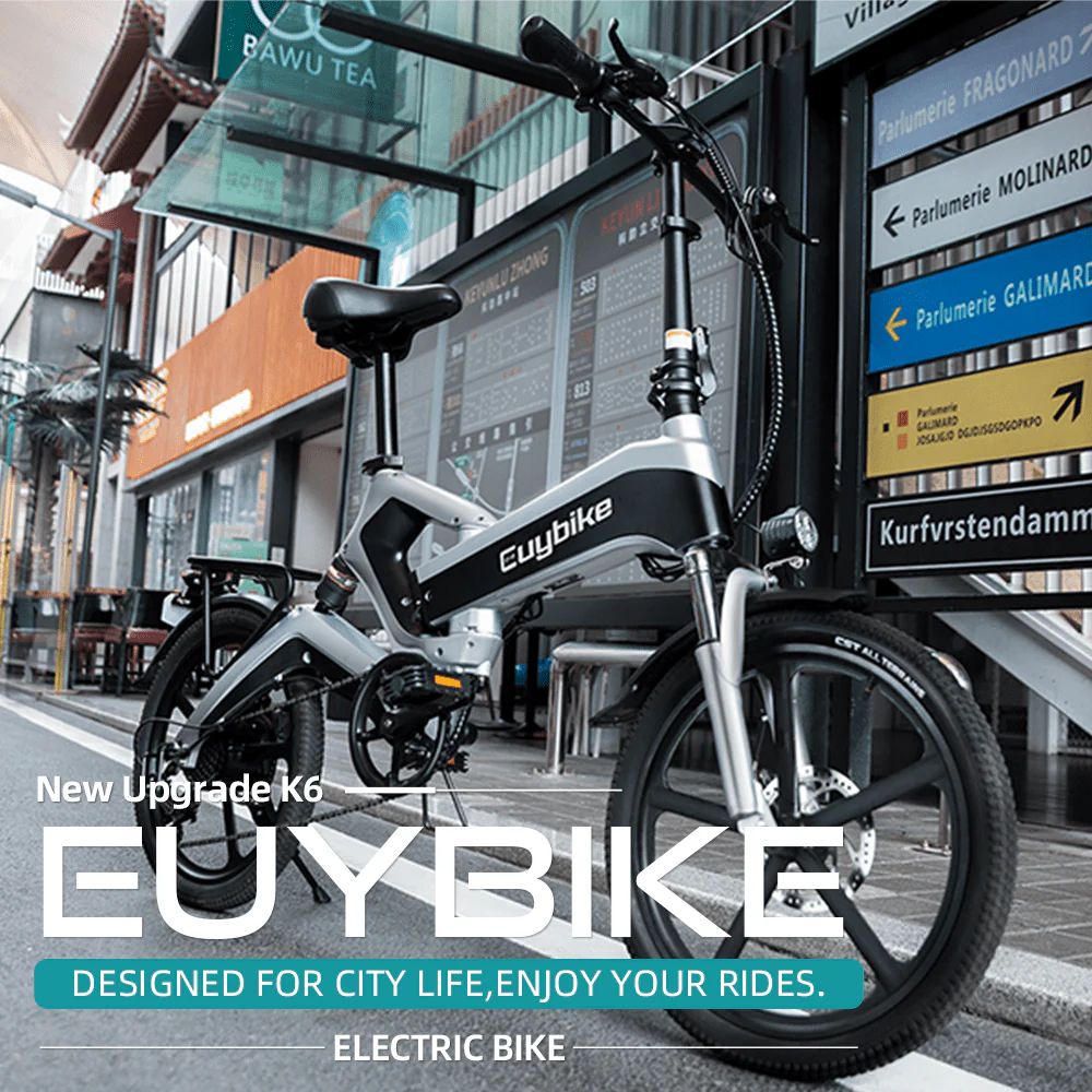 EUY 20in Folding Electric Bike, 500W, 48V 12.8Ah, Black