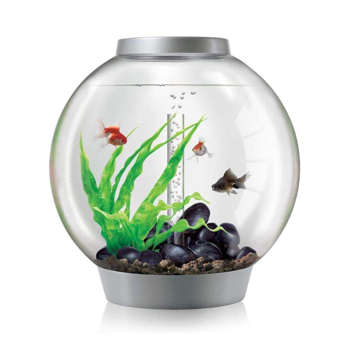 Classic 60L Aquarium in Silver with MCR LED Lighting