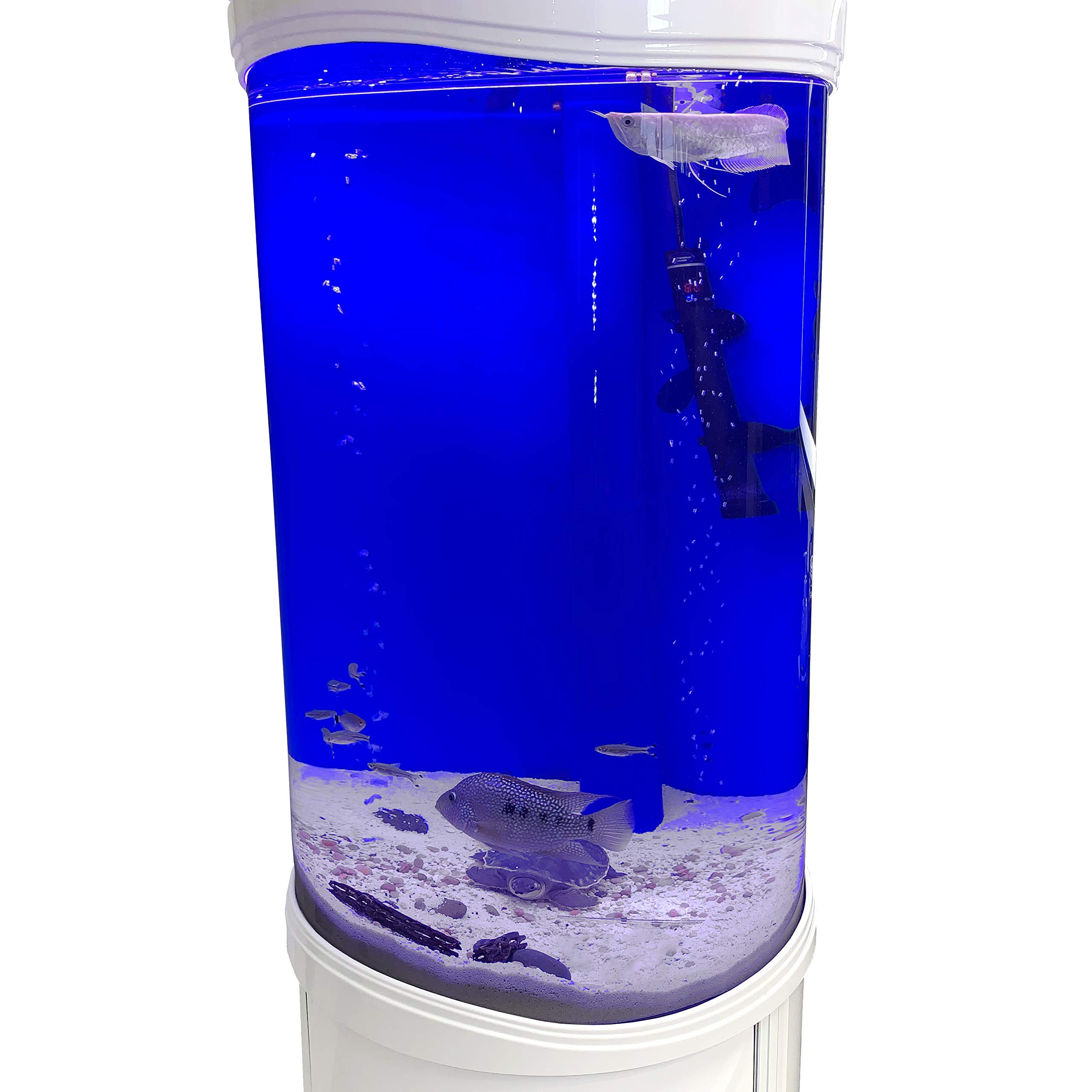 Aqualic 360 Acrylic Aquarium Cylinder Fish Tank 70 Gallons w/