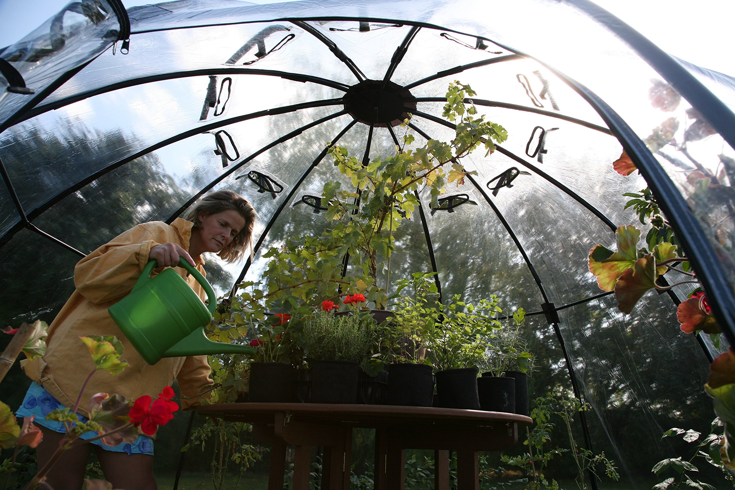 Haxnicks Garden Sunbubble Portable Greenhouse