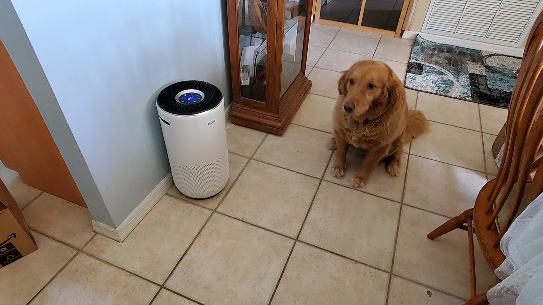 LEVOIT Air Purifiers