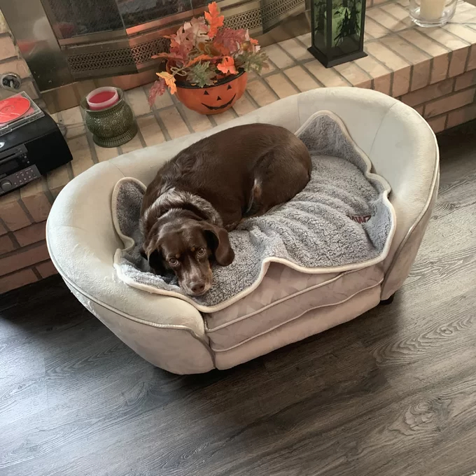 Lola Dog Sofa