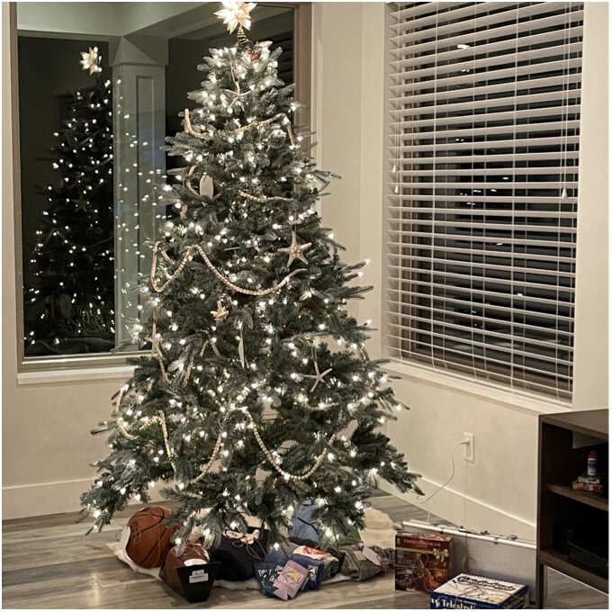Frosted Arctic 90'' Lighted Artificial Spruce Christmas Tree