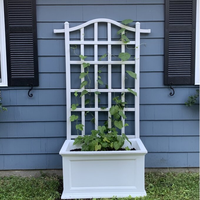 Anastasiya Self Watering Plastic Planter Box