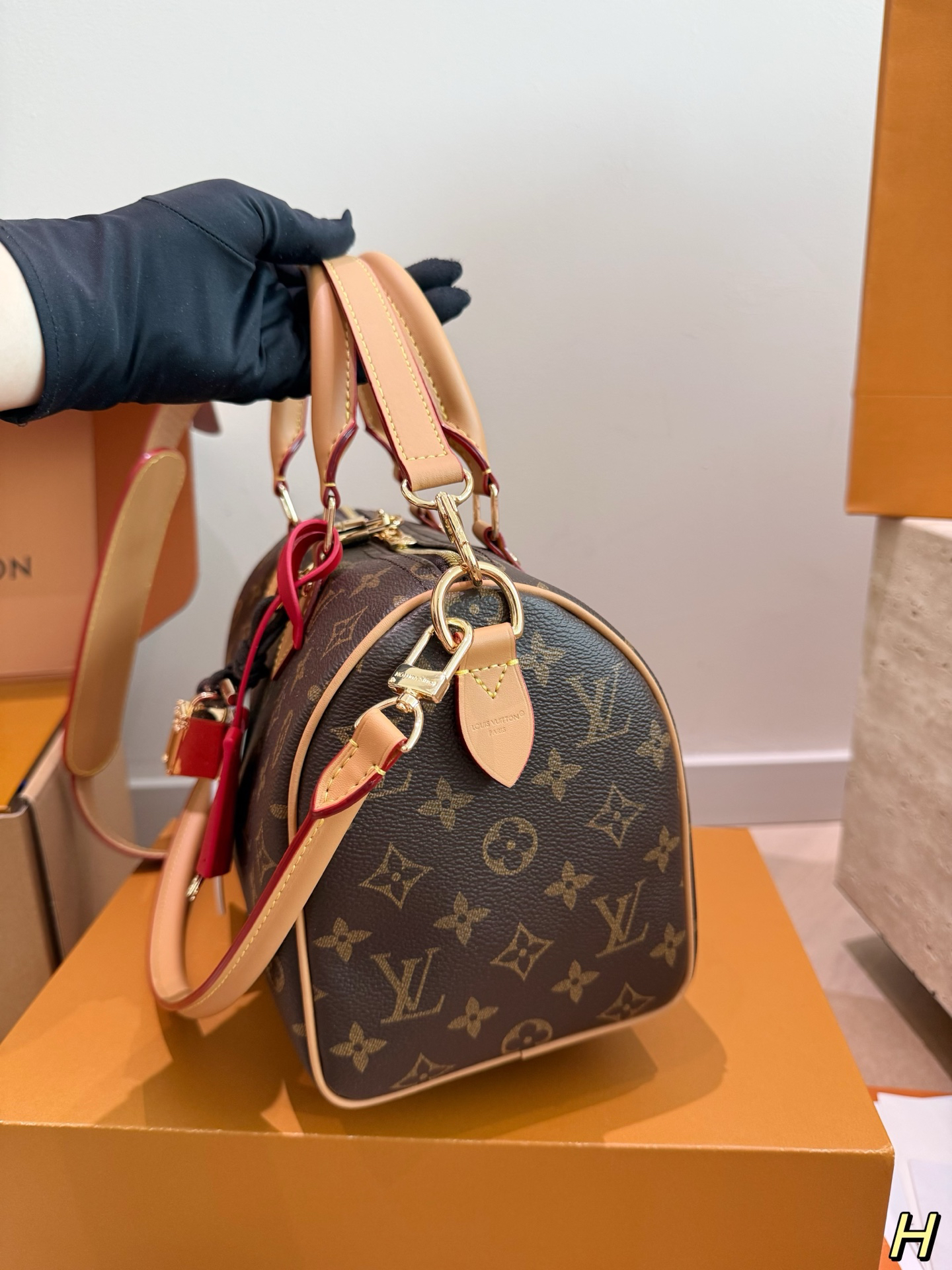 LV speedy 25 handbag
