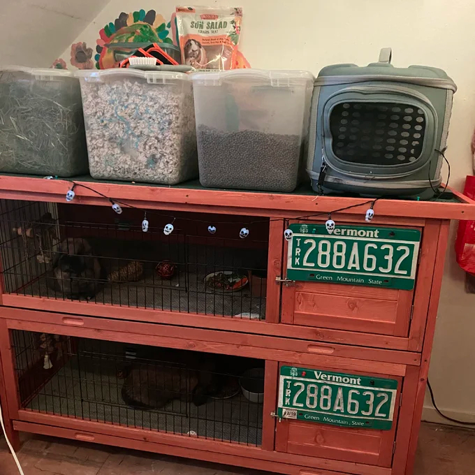 Griffen Weather Resistant Hutch