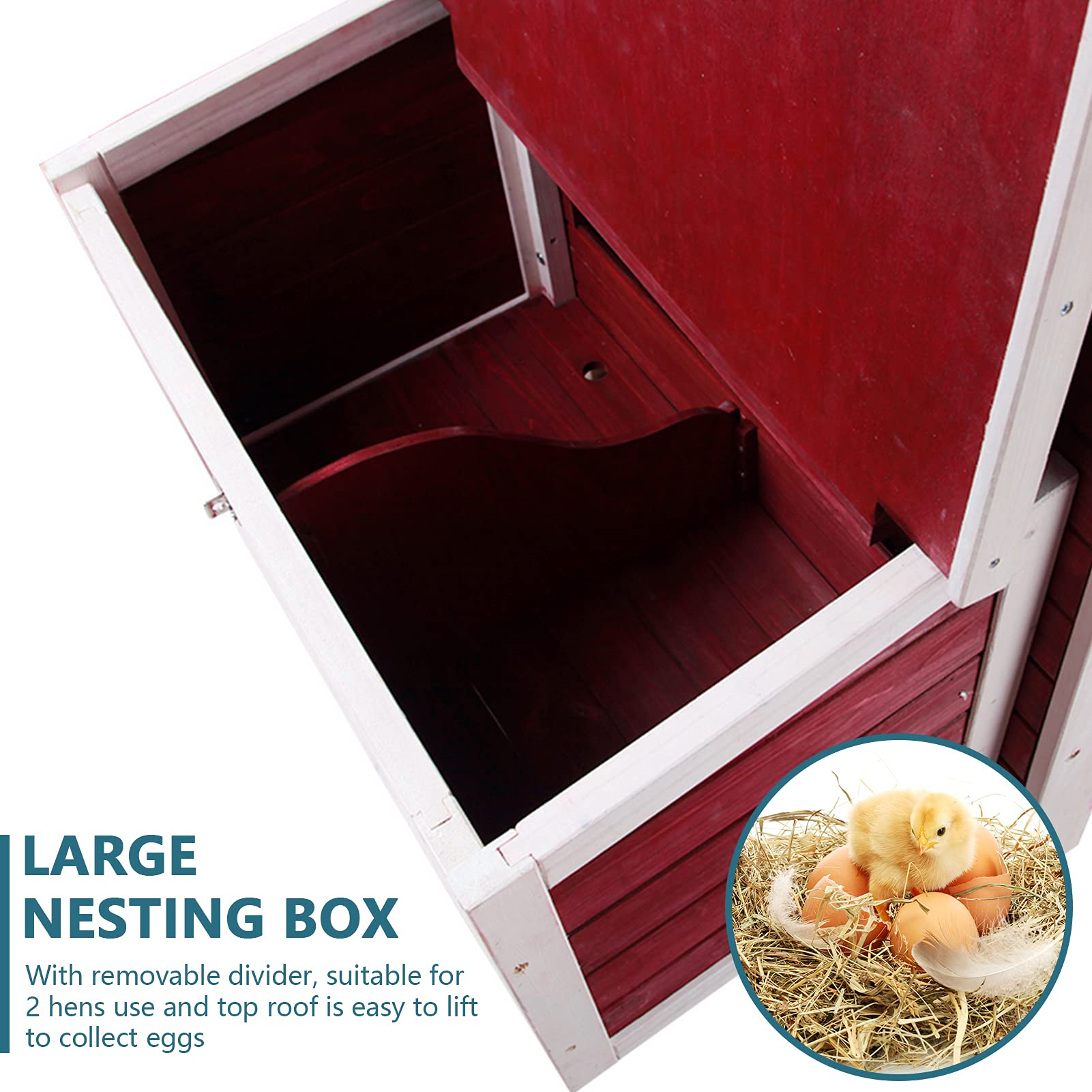 Weatherproof Chicken Coop with Nesting Box