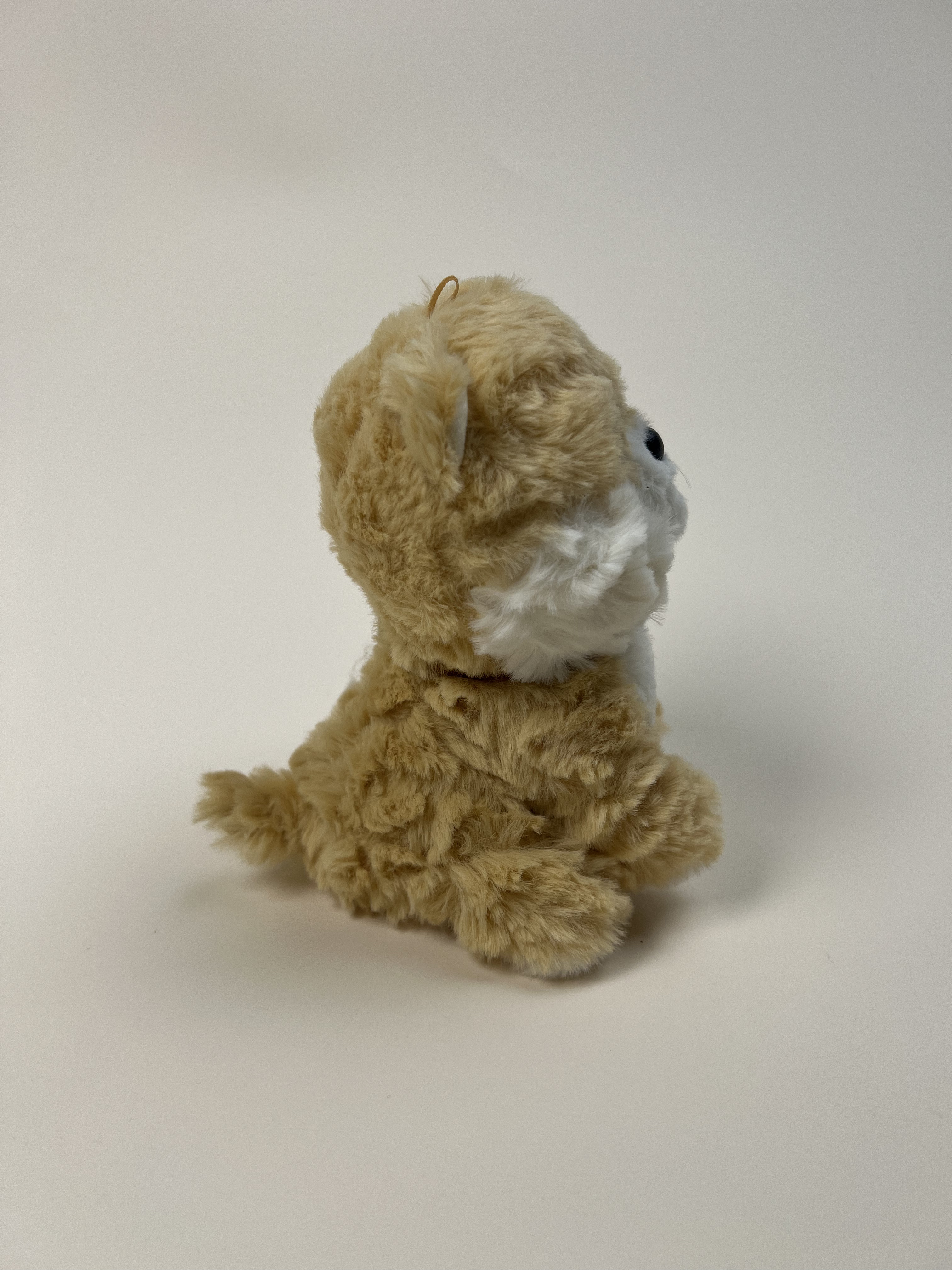 Plush Pomeranian Toy with a Heart-Shaped Collar