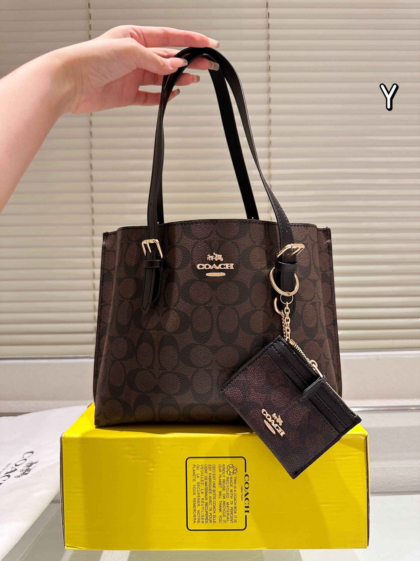 Coach mollie25 tote handbag