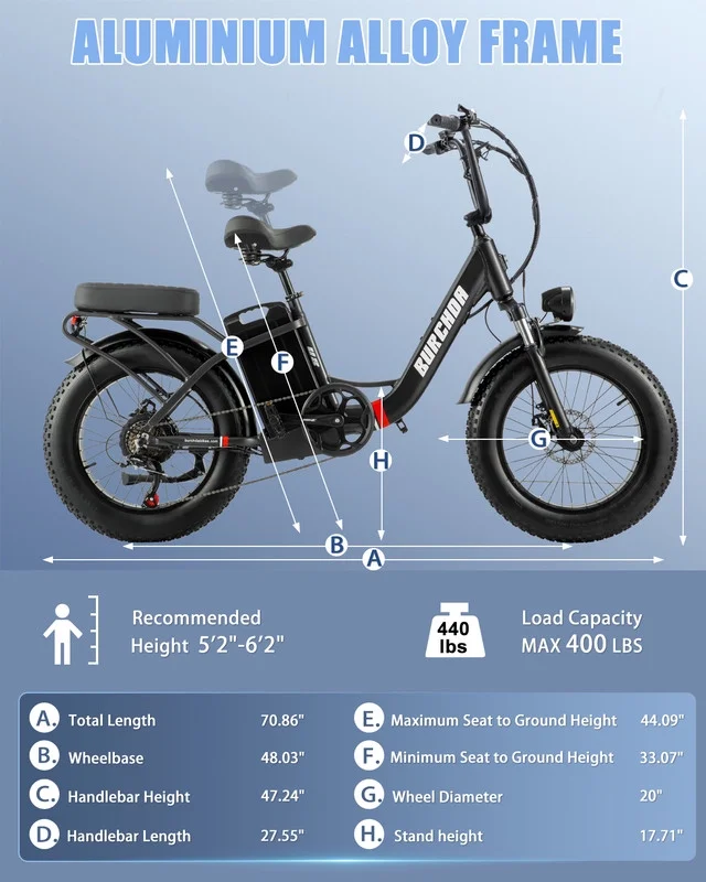 20in Fat Tire Electric Bike, 800W, 48V 32Ah, Two Seats