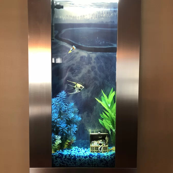 Angelica 4 Gallon Rectangle Aquarium Tank