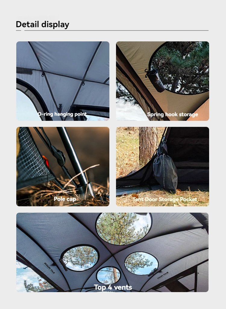 Pasted Image