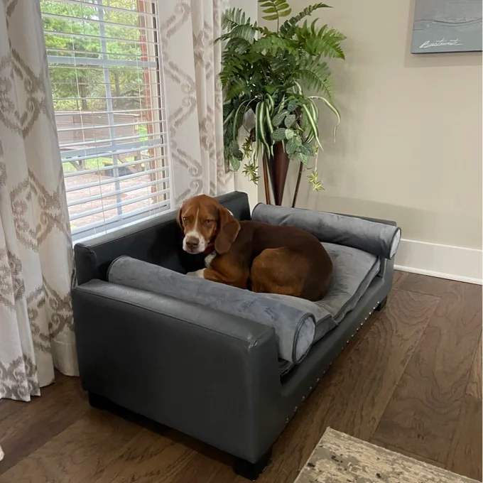 Oberle Dog Sofa