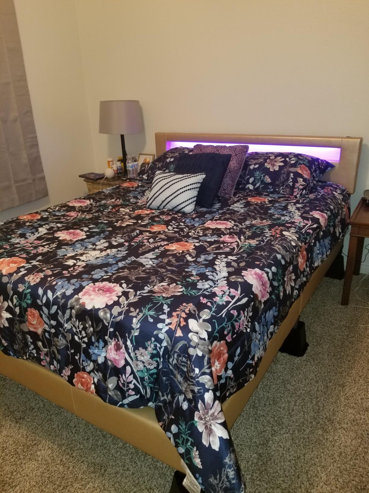 Pezzolla LED Bed - Contemporary Modern Low Profile Platform Bed